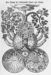 Der Baum der Erkenntnis von Gut und Böse