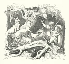 Die Hexe und die Kinder des Königs