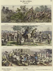 Die Welt in Bildern: Deutsch-Afrika