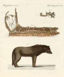 Der Hund der Baffin-Bucht