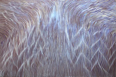 Reise 206, Mein Rettungsversuch