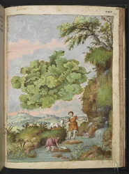 Flechte und zwei Frauen, die Kleidung oder Fell in einem Teich waschen, aus "Gemälde der Flora der römischen Staaten" von Gherardo Cibo