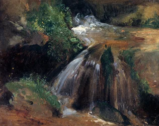 Wasserkürbis