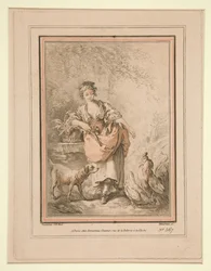 Mädchen beim Füttern von Hühnern