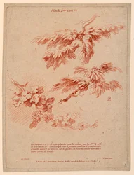 Tafel 2 aus Livre Ier, Principes du dessin dans le genre du Paysage