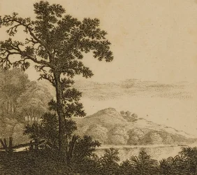 Landschaft