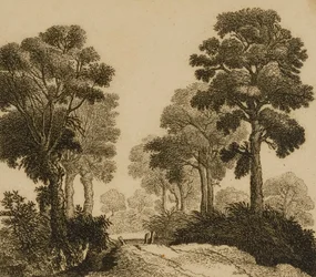 Landschaft