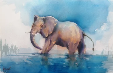 Majestätischer Elefant im Wasser