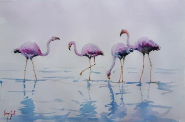 Pinkfarbene Flamingos im Wasser