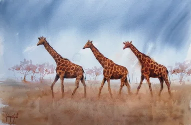 Safari-Giraffen-Trio