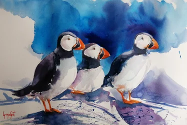 Drei Papageientaucher Aquarell