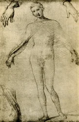 Modellstudie für eine Jungfrau Maria als Mater Misericordiae