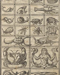 Essempio di recammi, Seite 11 recto, 1530
