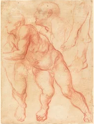 Studien eines männlichen Aktes