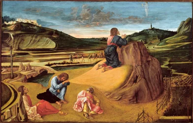 Die Agonie im Garten