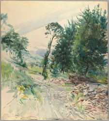 Die Straße