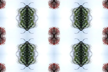 Unnatürlich 110
