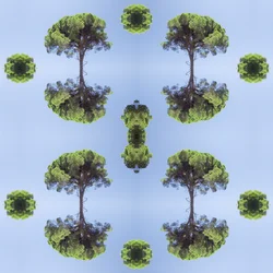 Unnatürlich 118