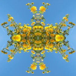 Unnatural 193