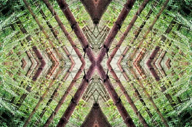 Unnatürlich 37