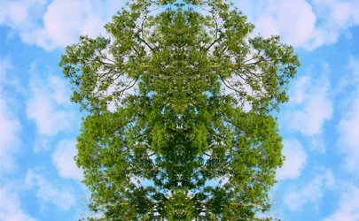 Unnatürlich 46