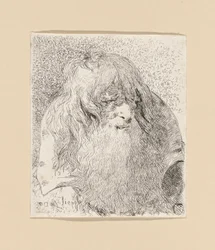 Alter Mann mit Bart und langen Haaren, aus der Raccolta di Teste (Sammlung von Köpfen)