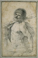 Herkules