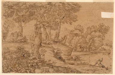 Waldlandschaft mit einem Teich