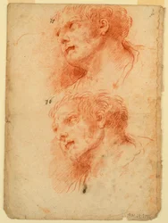 Vier Studien nach dem Kopf eines Mannes