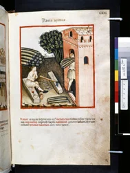 Theatrum sanitatis von Ububchasym de Baldach: 