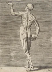 Mann von hinten gesehen, hält einen Schädel in seiner rechten Hand, 16. Jahrhundert