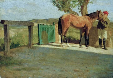 Das kleine Pferd