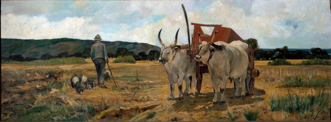 Landschaft in der Maremma