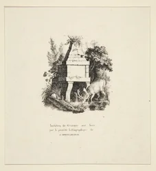 Hirsch trinkt