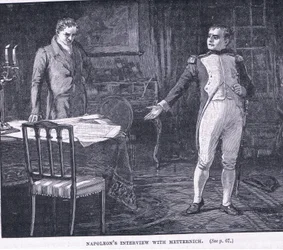 Napoleons Interview mit Metternich