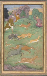 Antilopen- und Hirschjagd
