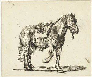 Pferd des barmherzigen Samariters