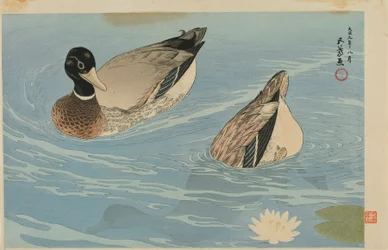 Enten, Taisho-Ära, August 1920 (Farbholzschnitt)