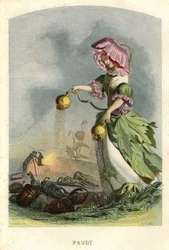 Illustration für 