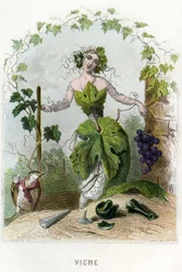Illustration für 