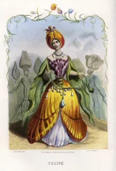 Illustration für 