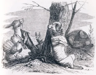Der Esel und der Hund