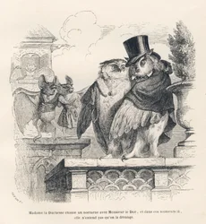 Fledermaus hört einer Eule und einem Uhu beim Singen zu. Vignetten illustriert von JJ Granville. Gravur signiert Breviere im Teil "Erinnerungen einer alten Krähe" geschrieben von PJ Stahl in "Szenen aus dem privaten und öffentlichen Leben der Tiere". Pa