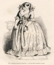 Eule, die sich überlegen fühlt, aber nur lächerlich ist. Vignetten illustriert von JJ Granville. Gravur signiert Rouget im Teil "Erinnerungen einer alten Krähe" geschrieben von PJ Stahl in "Szenen aus dem privaten und öffentlichen Leben der Tiere"
