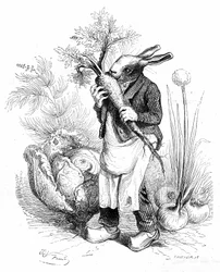 Grandville-Stich, aus dem Buch „Privates und öffentliches Leben der Tiere (Les animaux peints par eux-mêmes)“, Hetzel-Ausgabe 1867. Kaninchengärtner in Hufen knabbert eine Karotte in seinem Gemüsegarten, wo Gemüse (Zwiebeln und Kohl) wächst.