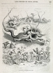 Die Lieben zweier Tiere (Hindernisrennen der Monster) - in „Tiere, die sich selbst gemalt haben: privates und öffentliches Leben der Tiere“ von Grandville, Kapitel von Honoré de Balzac, ed. Hetzel