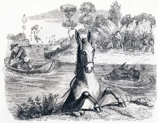 Der Esel mit dem Schwamm und der Esel mit dem Salz - Fabeln von La Fontaine
