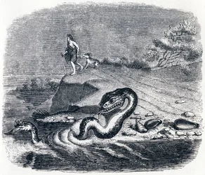 Der Kopf und der Schwanz der Schlange - Fabeln von La Fontaine