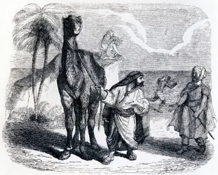 Das Kamel und die schwimmenden Stöcke - Fabeln von La Fontaine