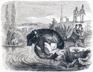 Der Hund, der seine Beute für deren Schatten aufgibt - Fabeln von La Fontaine